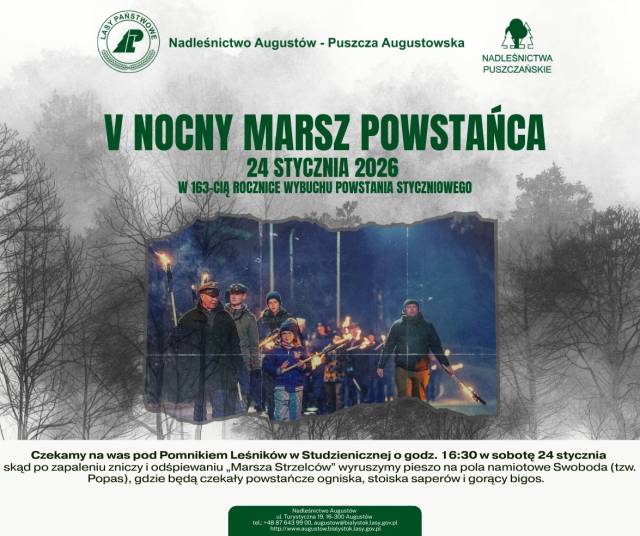V NOCNY MARSZ POWSTAŃCA 