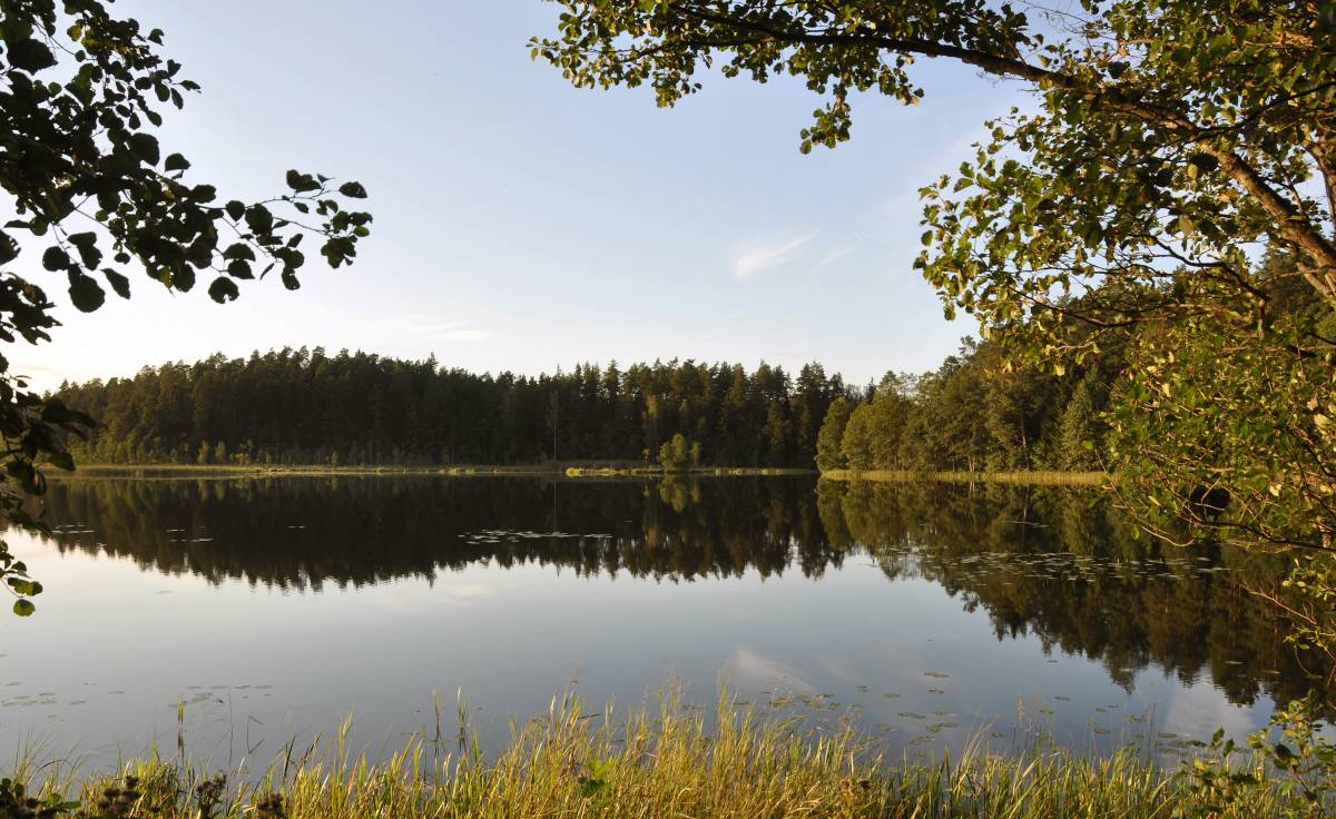 Perkuć Nature Reserve - Augustów - events in the city of Augustów